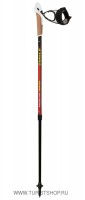 Палки для скандинавской ходьбы Vipole Instructor Vario Trident