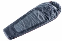 Спальный мешок Deuter Dream Lite 500 reg