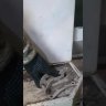 Колеса транцевые, быстросъёмные, стандартные