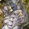 Ботинки JahtiJakt Camo Boot