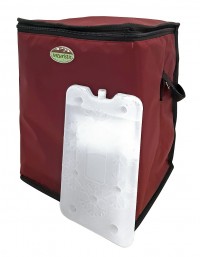 Сумка изотермическая Inturistic 17 литров + аккумулятор холода 400 гр