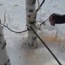 Пила ручная карманная
